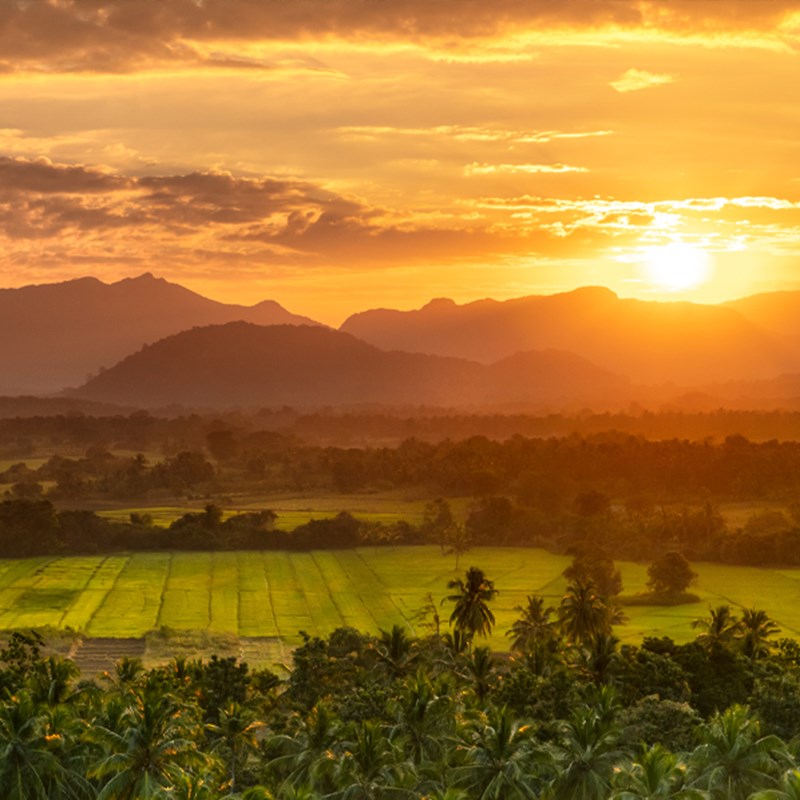 Sri lanka